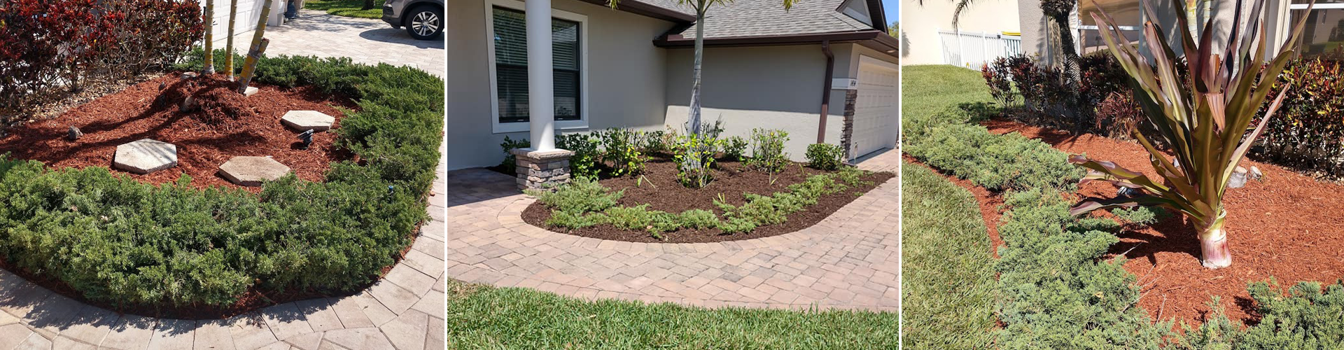 The Benefits of Low-Maintenance Ground Cover for Palm Bay, Florida Landscapes